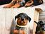 Immagine 18