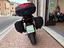 Immagine 7