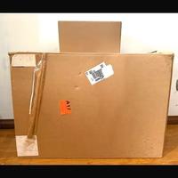 LEGO Icons Colosseo Colosseum 10276 Acquistato