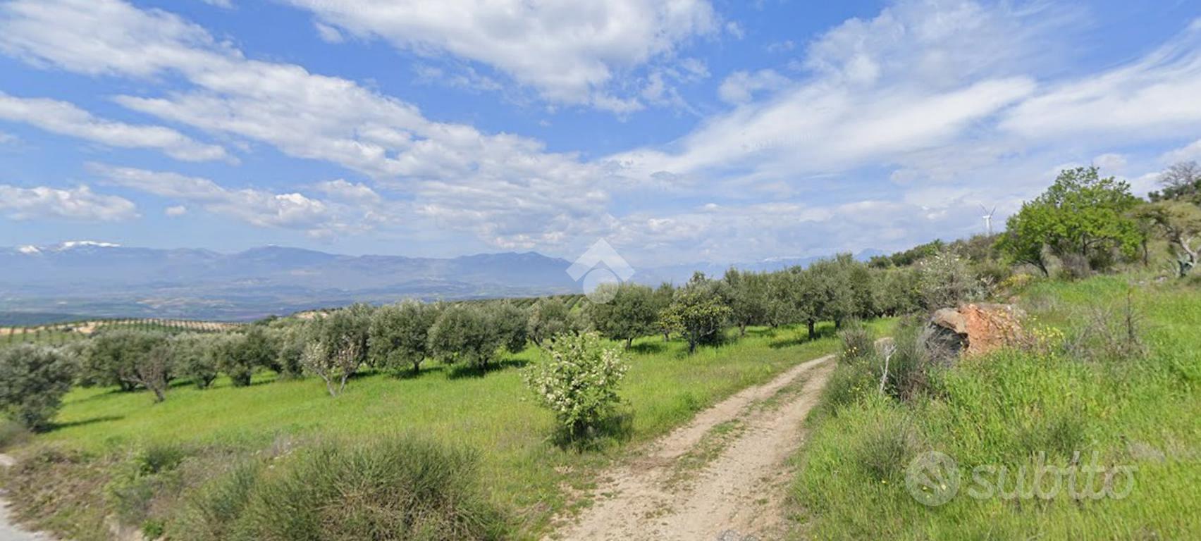TER. AGRICOLO A TARSIA - Vista 5