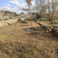 Rustico terreno agricolo