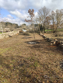 Rustico terreno agricolo