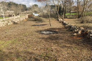 Rustico terreno agricolo