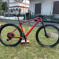 ROCKRIDER 900 XC tg L