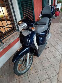 Aprilia Scarabeo 50  2 t