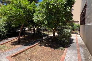 Appartamento in giardino zona viale Lazio
