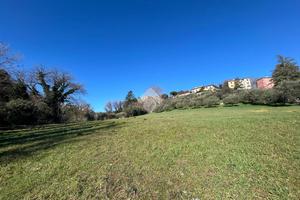 TER. AGRICOLO A PERUGIA