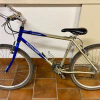 Mountain bike Piazzalunga