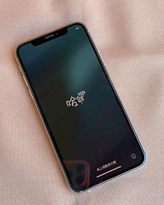 Iphone XS argento pari al nuovo - 64 GB