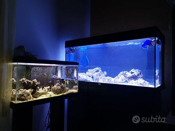 Acquario juwel rio 180