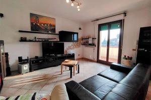 V003800 OSIMO Passatempo