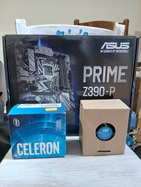 Scheda madre Asus + processore e dissipatore