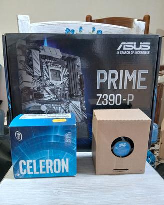 Scheda madre Asus + processore e dissipatore