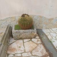 pile ornamentali giardino in pietra