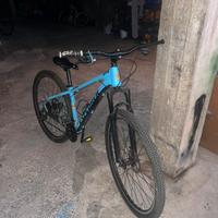 Bicicletta
