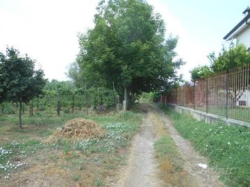 Terreno di 3000 m² a Vairano Patenora