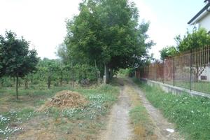 Terreno di 3000 m² a Vairano Patenora