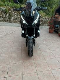 Xadv750