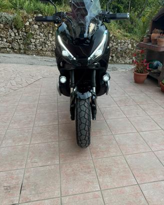 Xadv750