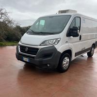 Fiat Ducato Frigo
