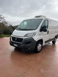 Fiat Ducato Frigo