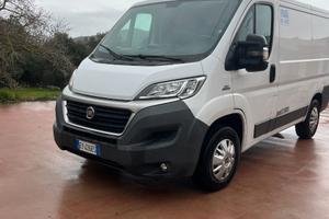 Fiat Ducato Frigo