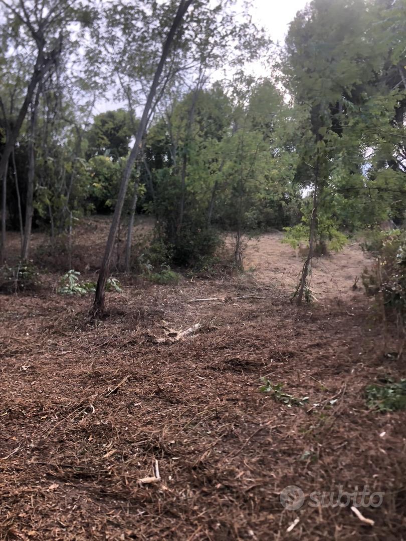Terreno agricolo 3400 mq - Vista 5