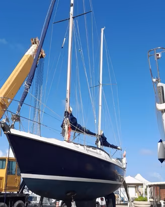 Vagabond 33