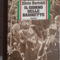 il giorno delle baionette di Silvio Bertoldi
