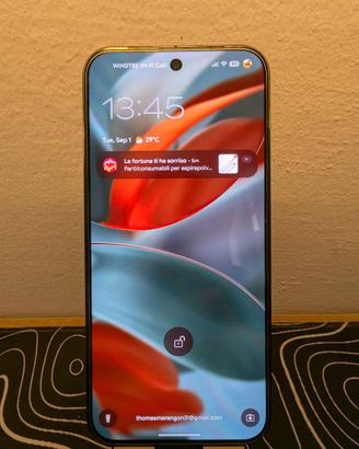 Google Pixel 9 Pro XL - Batteria 95% - Garanzia