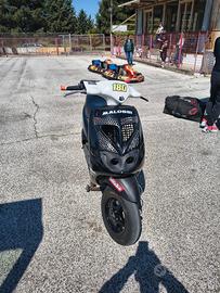 Zip mk1 da pista 