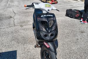 Zip mk1 da pista 