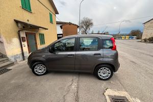 Panda 2018 gpl