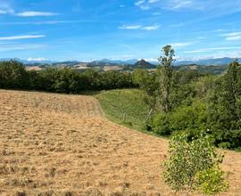 Terreno agricolo collinare