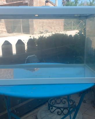 acquario CIANO AQUA60