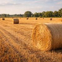 Balloni di Paglia e Fieno