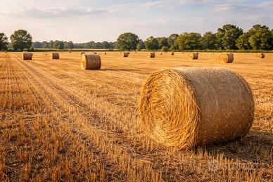 Balloni di Paglia e Fieno