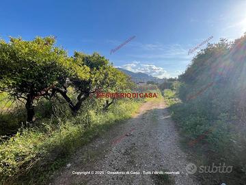 Terreno, Brancaccio - Conte Federico, Palermo.