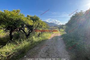 Terreno, Brancaccio - Conte Federico, Palermo.