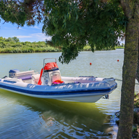 Gommone Cab dorado 7.0