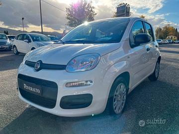 FIAT Panda 3ª serie Panda 1.0 FireFly S&S Hybrid