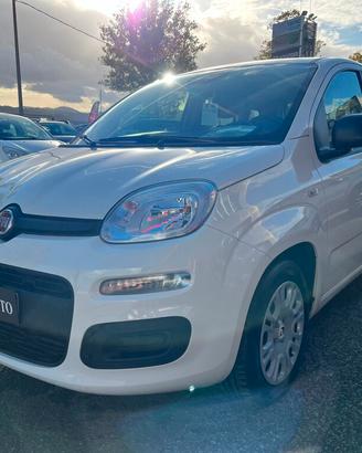 FIAT Panda 3ª serie Panda 1.0 FireFly S&S Hybrid
