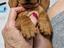 Immagine 1