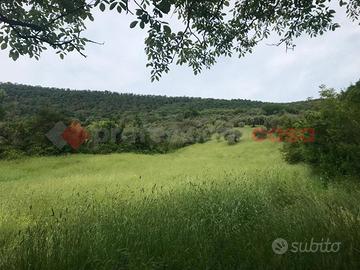 Terreno Agricolo Tivoli [Cod. rif 3234108ARG]