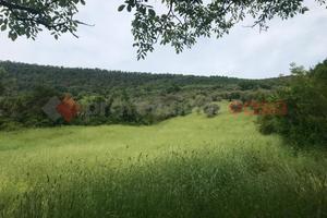 Terreno Agricolo Tivoli [Cod. rif 3234108ARG]