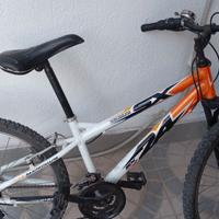 bicicletta a 26