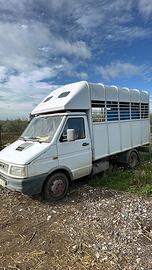 Trasporto animali vivi