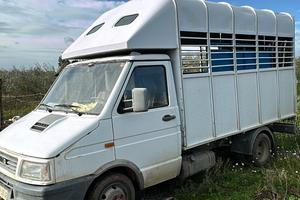 Trasporto animali vivi