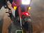 Immagine 6