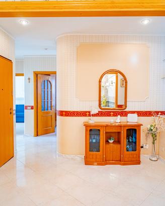 Splendido appartamento con terrazzo 49-358